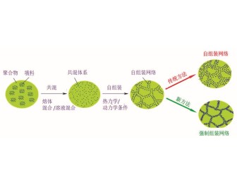 图 2 SCFNA法工艺流程。