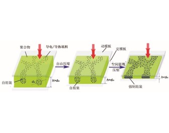图 3 自组装网络的自由压缩与强制压缩。