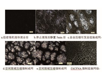 图 4 SCFNA法制备PP/SCF复合材料过程中分散相分布形态的演变。