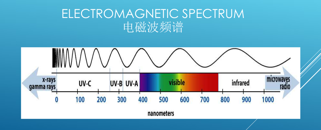 1638326315157582.png 图片2.png