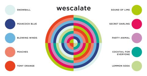 5_web.jpg