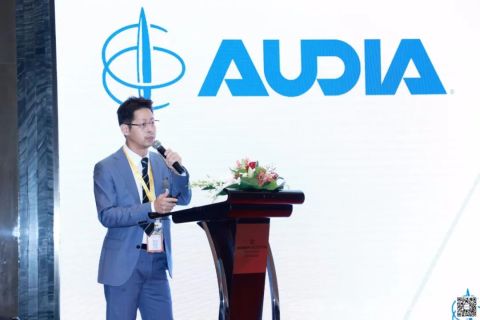 Audia_480.jpg