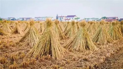 全生物降解材料项目落地石家庄，预计年产能2000吨